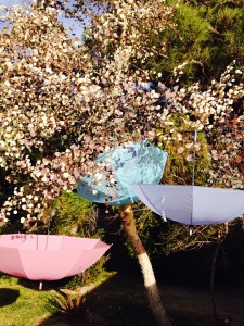 Poet Nicelle Davis is creating poetry umbrellas for the 2014 AWP conference and bookfair.